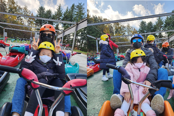 용평리조트 루지 후기