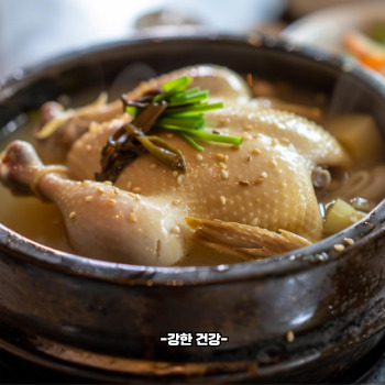 닭백숙 황금레시피