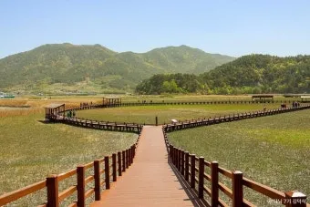 순천 여행코스 추천 순천만습지와 근처 맛집 일정 정리_10