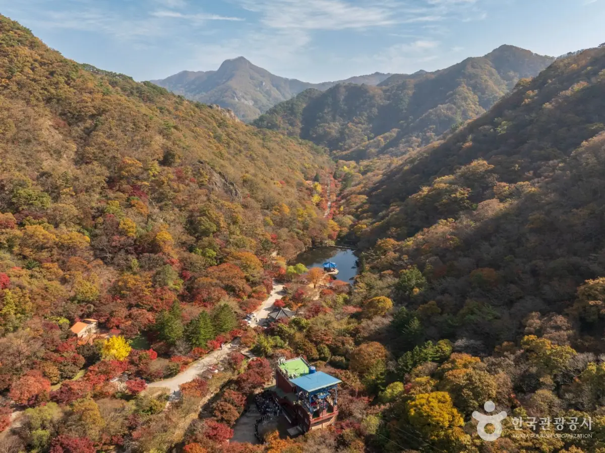 내장산 단풍 전경
