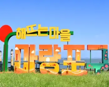 서천 동백꽃 주꾸미 축제_25