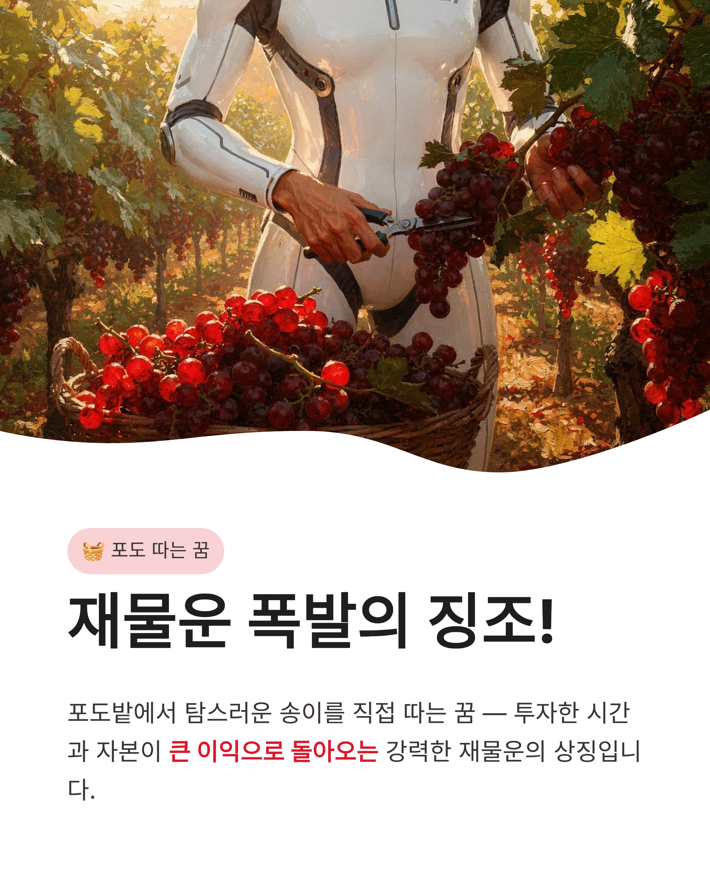포도꿈 해몽 포도 먹는 꿈 따는 꿈 태몽까지! 주렁주렁 열리는 대박 행운의 징조는?