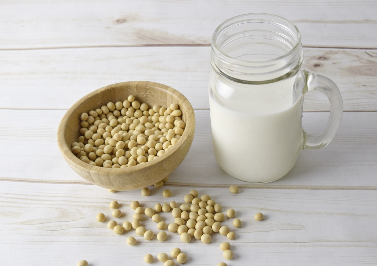 알트 밀크(Alt Milk) – 전 세계가 우유 대신 식물성 우유를 찾는 이유