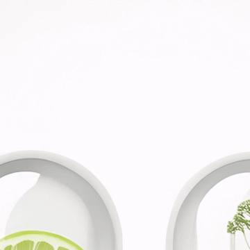 전립선에 좋은 음식