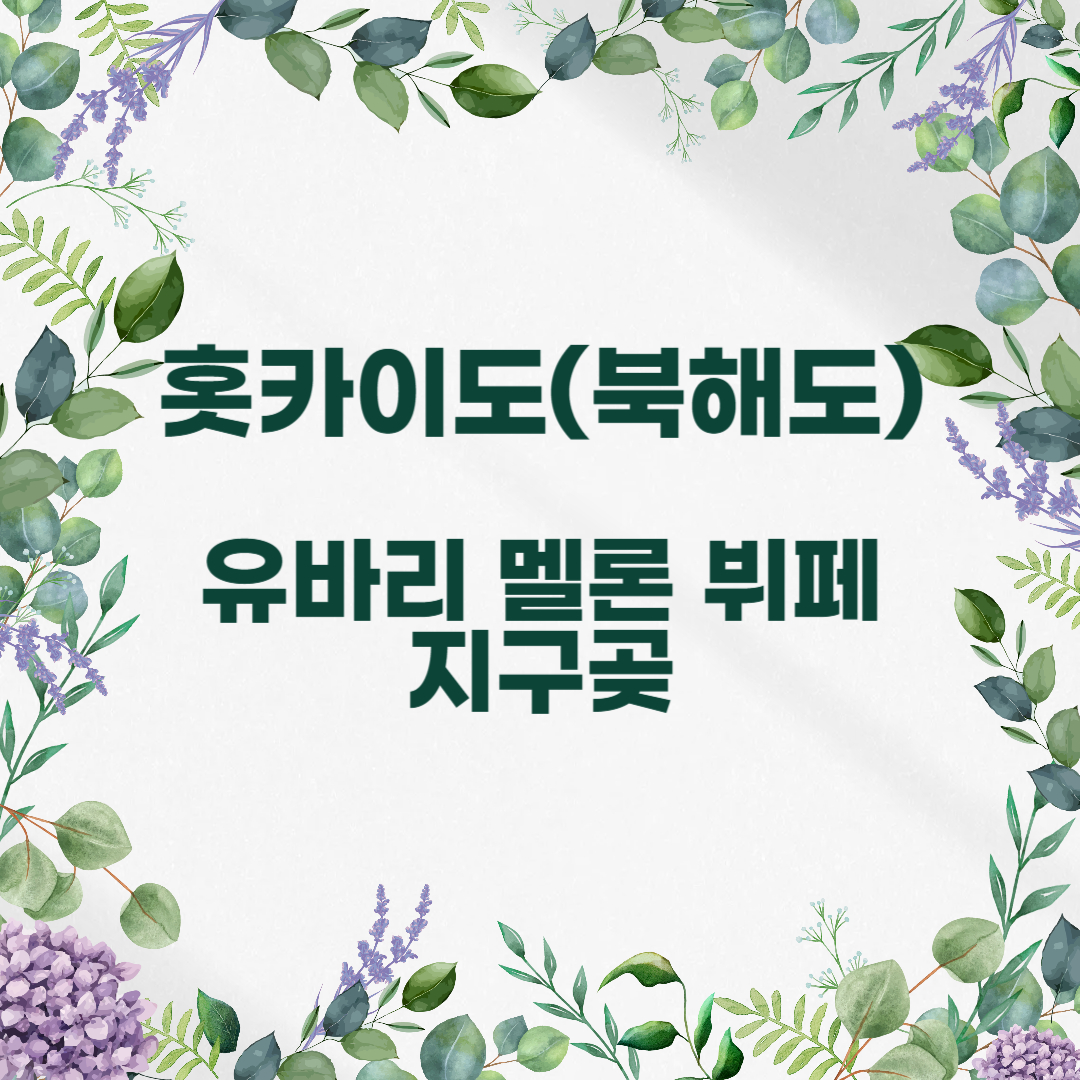 홋카이도 북해도 유바리 멜론 지구곶