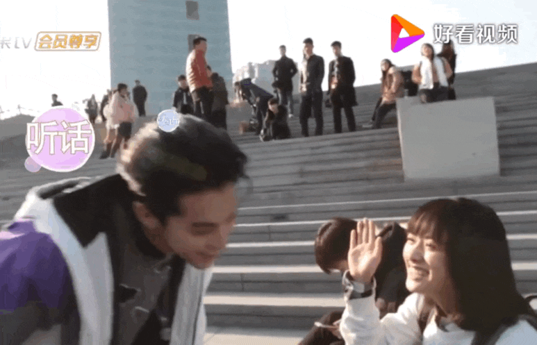 dyshen meteor garden