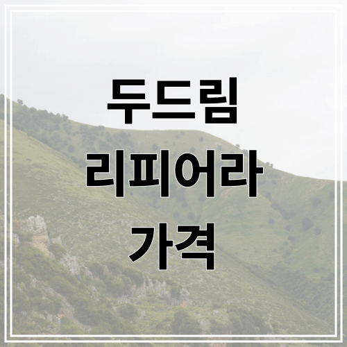 두드림 리피어라 가격