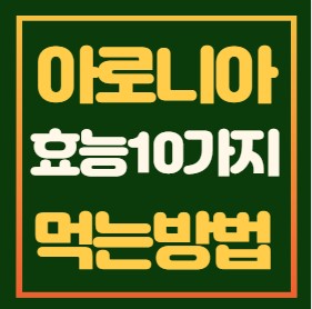 아로니아-효능
