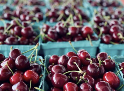 체리의효능몸에좋은이유