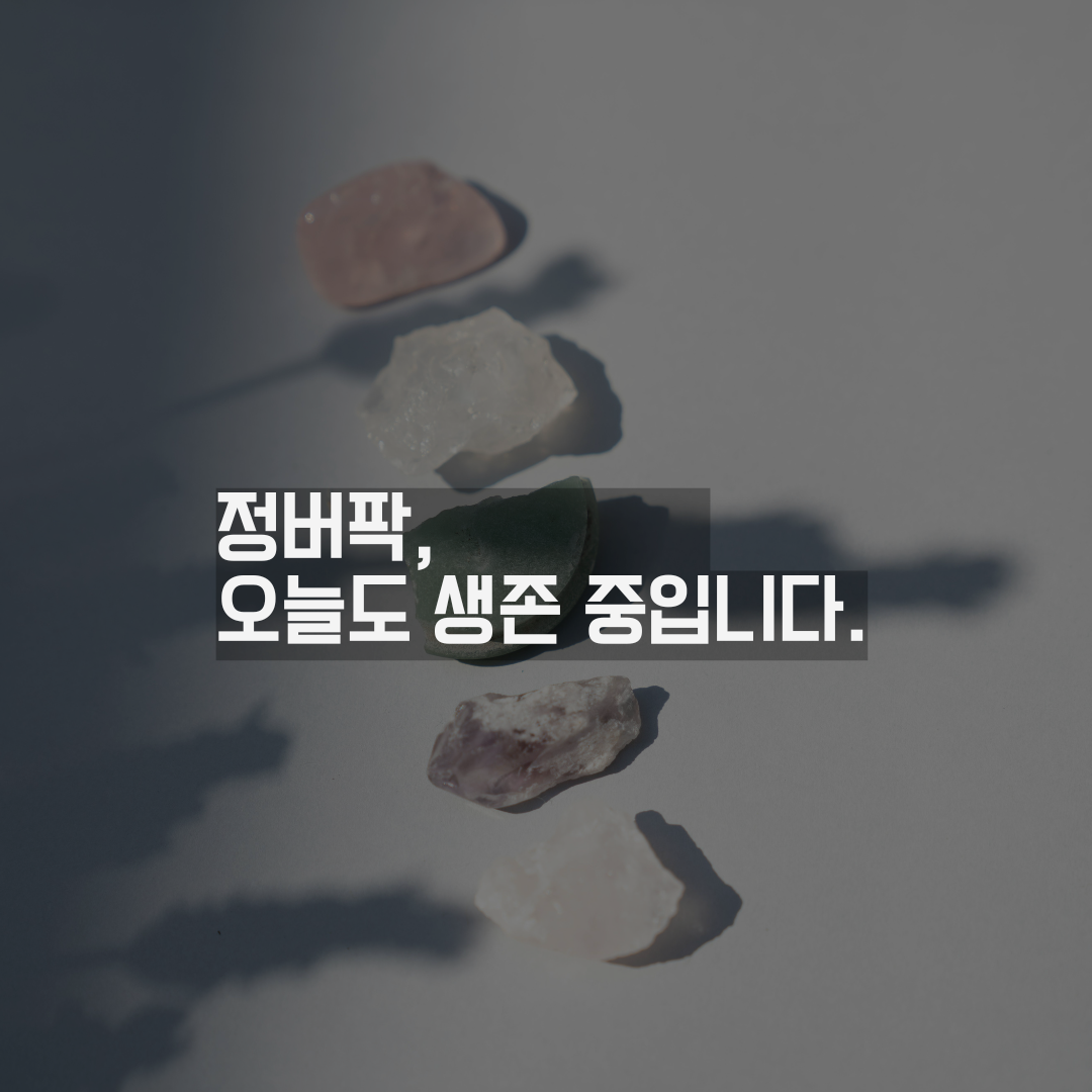 쓸모 있음