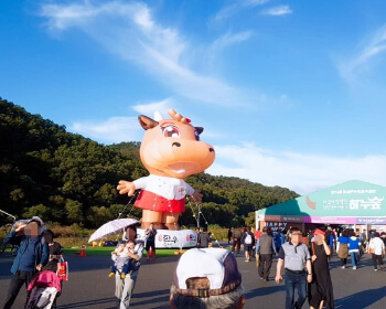횡성 한우축제