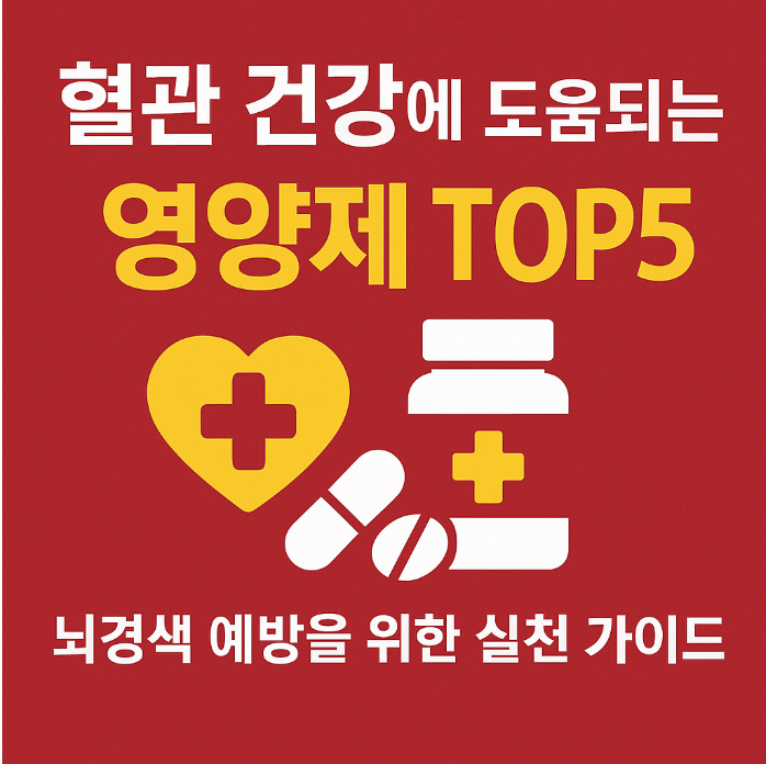 혈관 영양제 추천