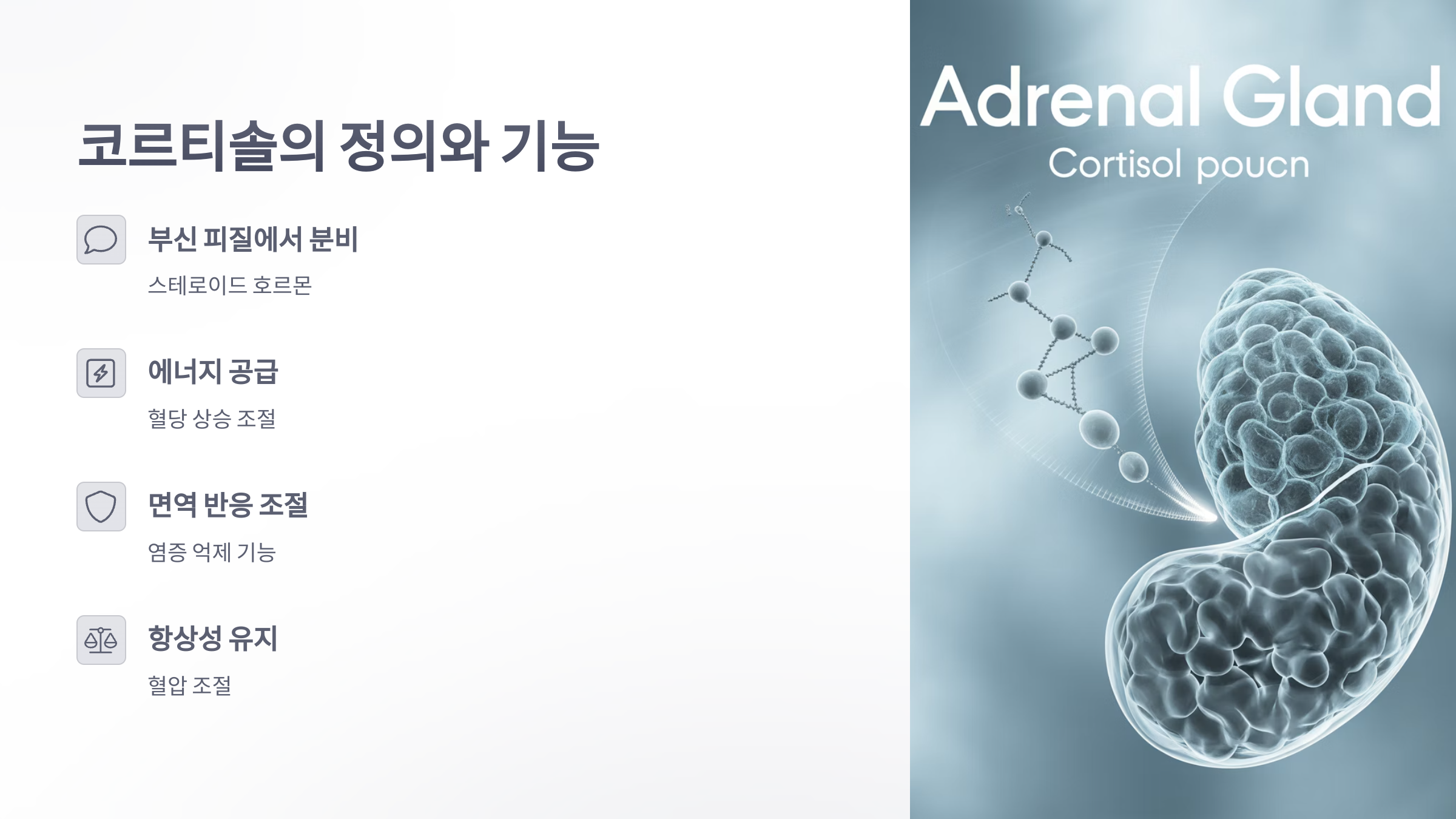 참조-코르티솔-2