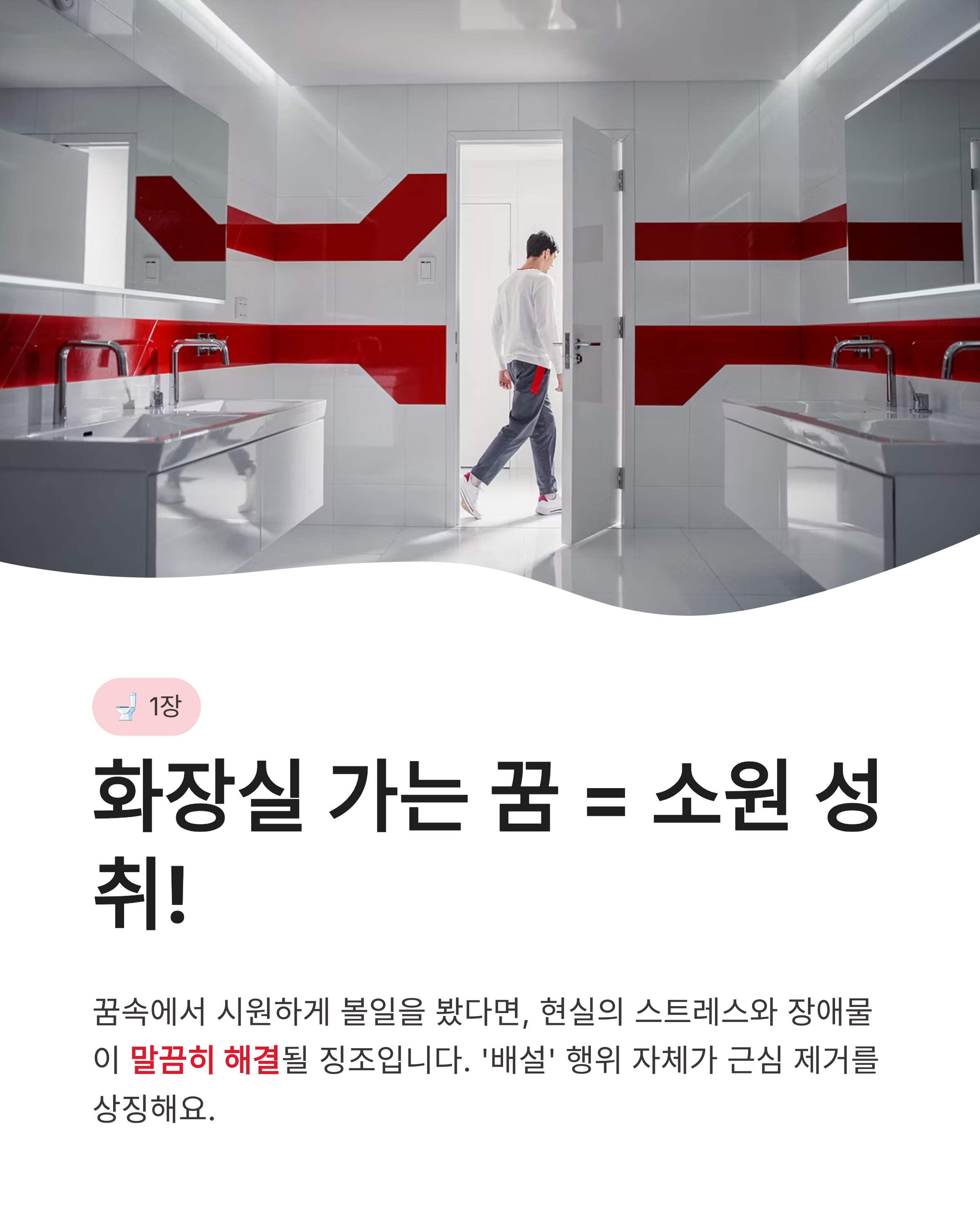 화장실꿈 해몽 화장실 가는 꿈 청소하는 꿈 똥 꿈까지! 더러울수록 대박 터지는 재물운의 정체는?