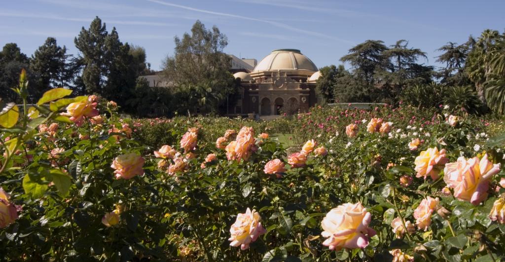 Exposition Park Rose Garden