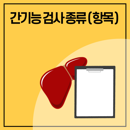 간기능 검사 항목 정상수치 표