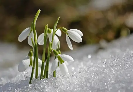 지브리스타일이-적용된-배경사진