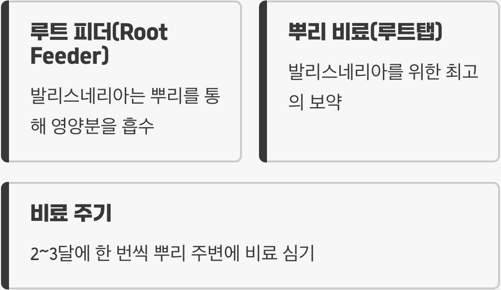 진짜 비밀은 &amp;#39;뿌리&amp;#39;에 있습니다 (비료 관리)