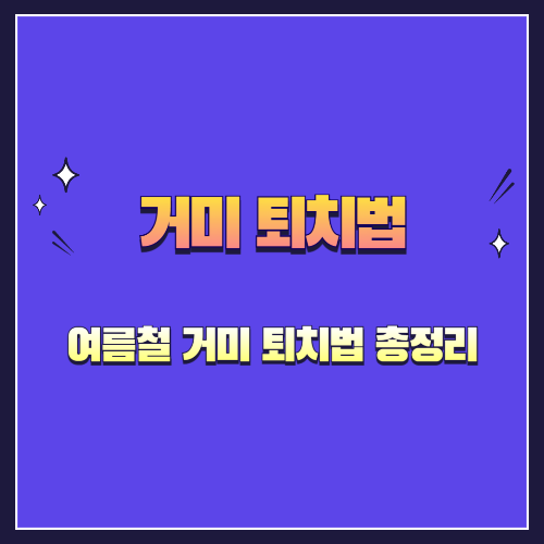여름철 거미 퇴치법 총정리