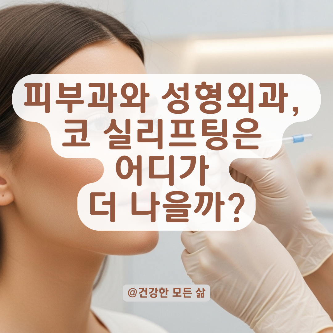 코 실리프팅은 어디서 받아야 할까? 피부과 vs 성형외과 차이 총정리.