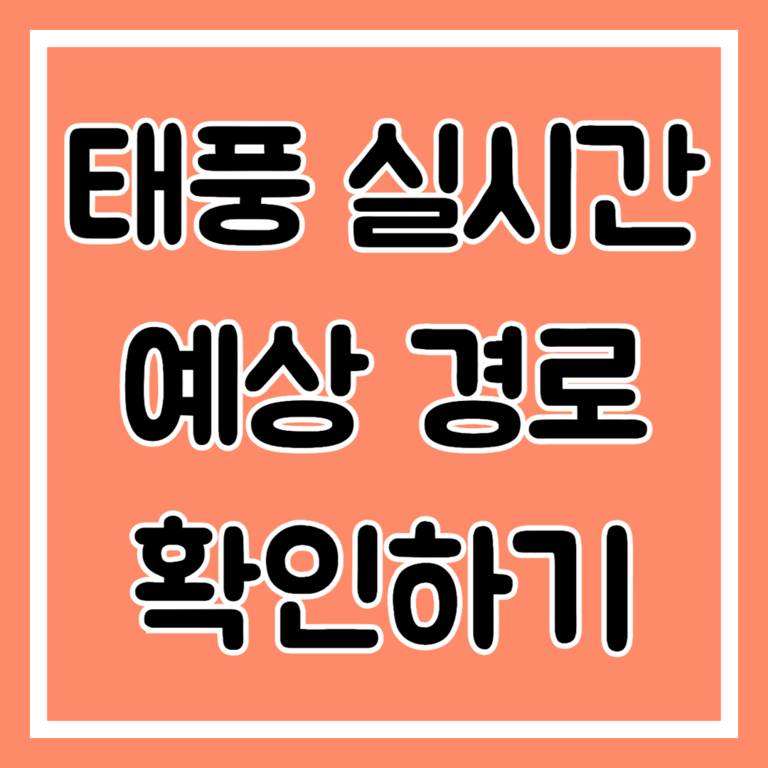 태풍 실시간 예상 경로 확인하기