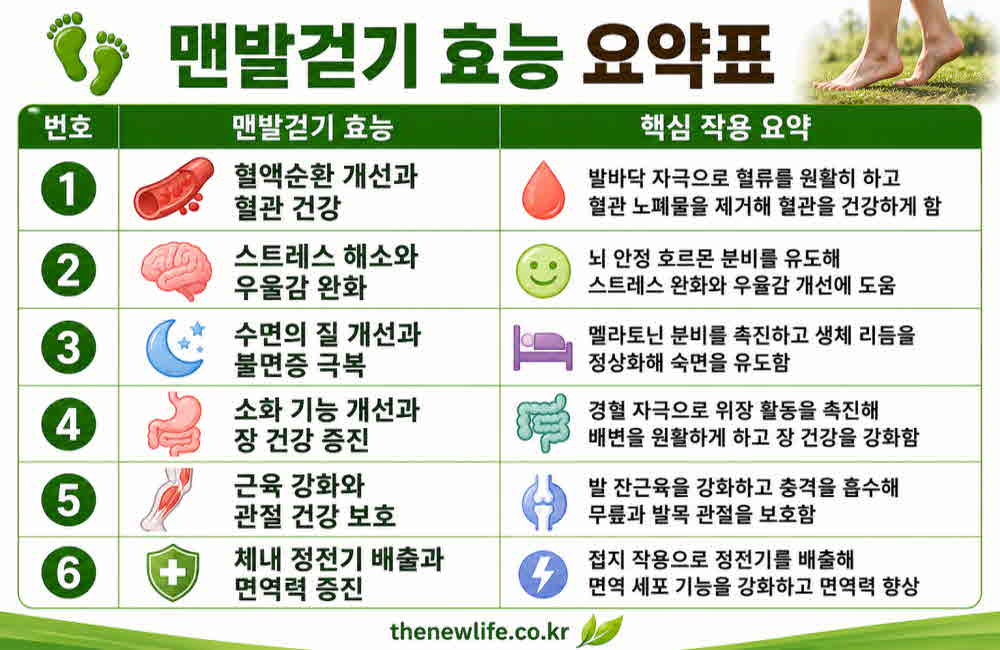 맨발걷기 효능 요약표