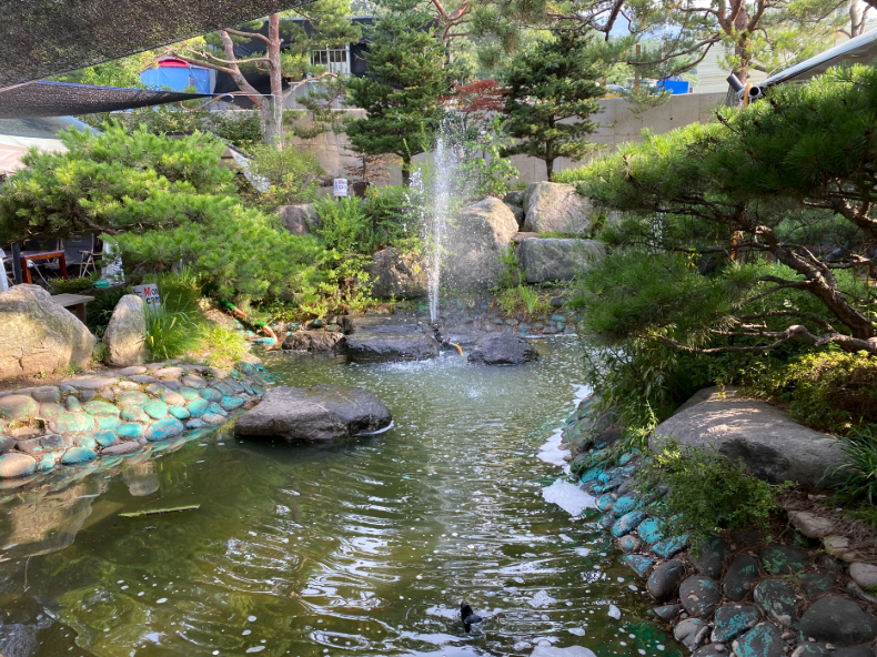 서울 근교 애견 동반 야외 관련 이미지4