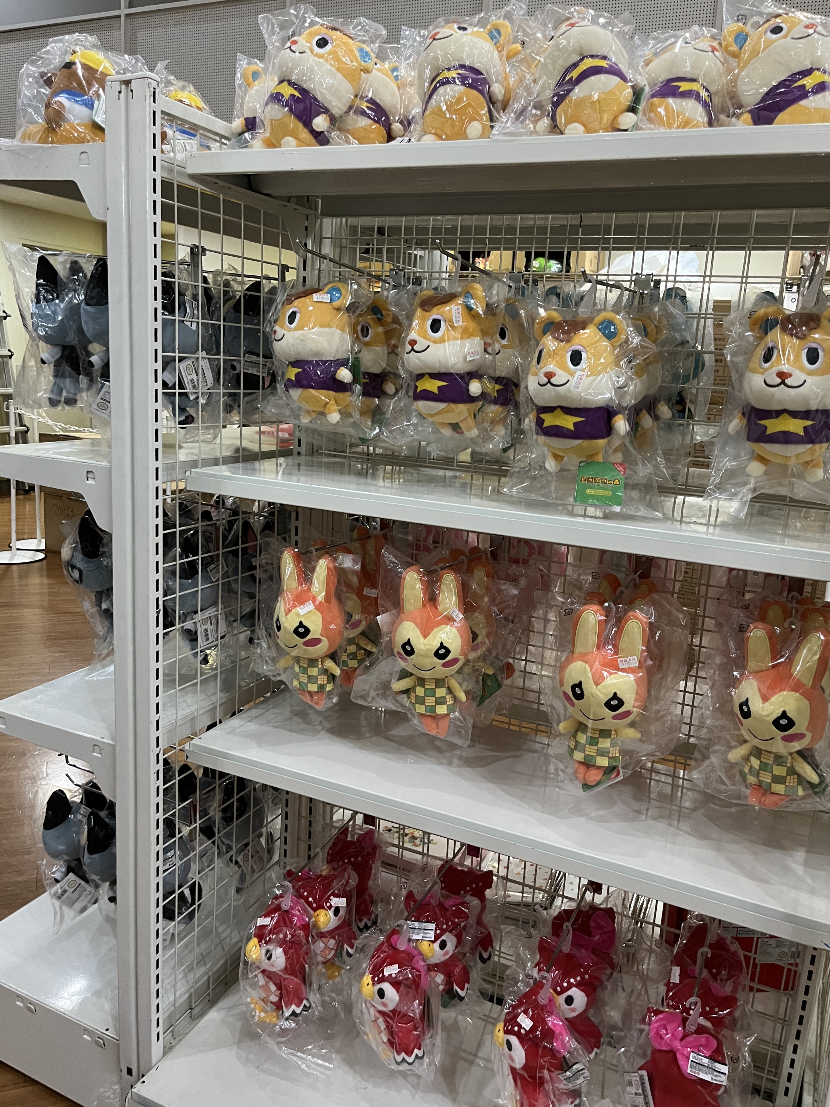 코엑스 아쿠아리움 동물의숲