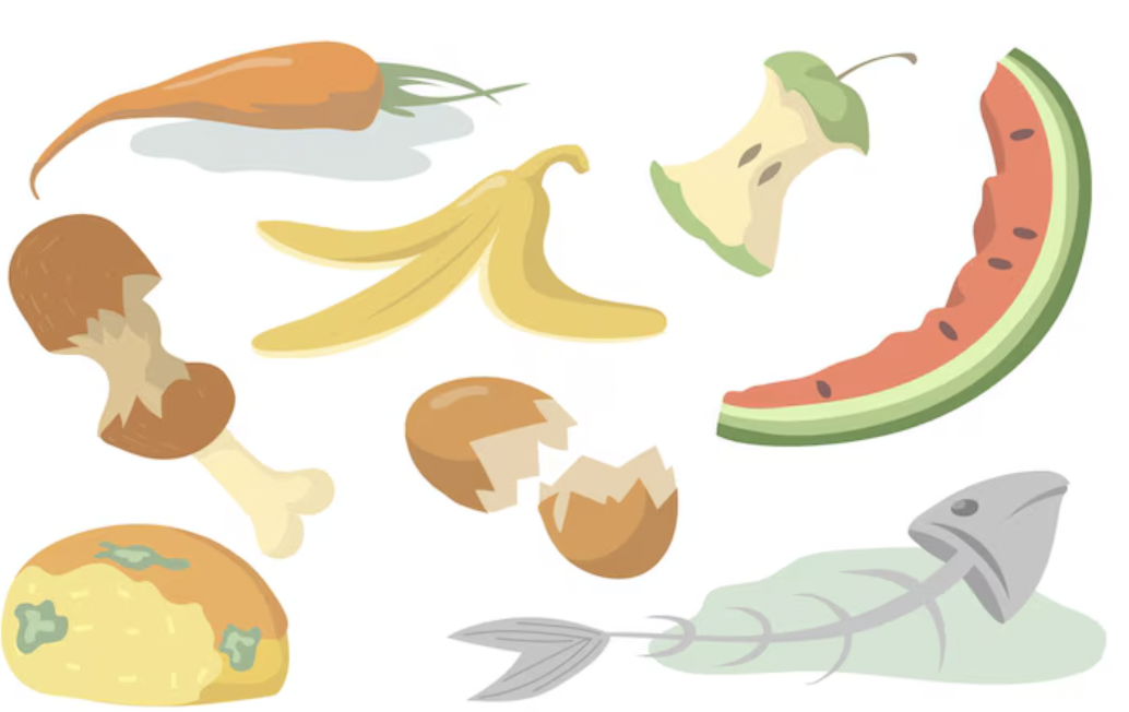 쓰레기 종류별 분리수거 방법 총정리!