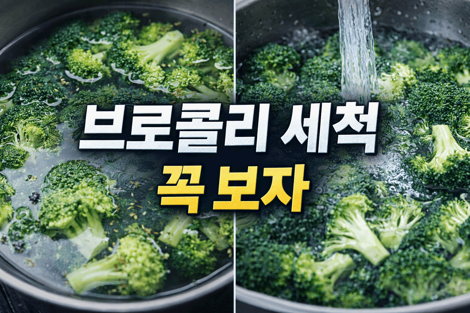 브로콜리 세척, 꼭 보자