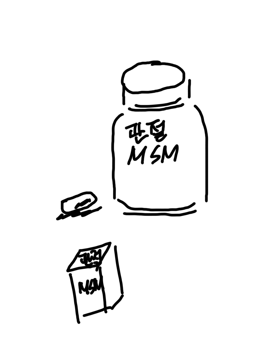 Alt 속성 문제 해결 설명 이미지