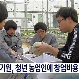 청년미래적금으로 목돈 만들기