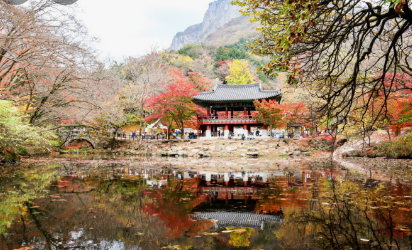 11월 단풍축제 가볼만한곳 BEST 10