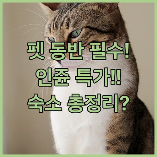 퀸즐랜드 인쥰 여행 반려동물 가능 모..