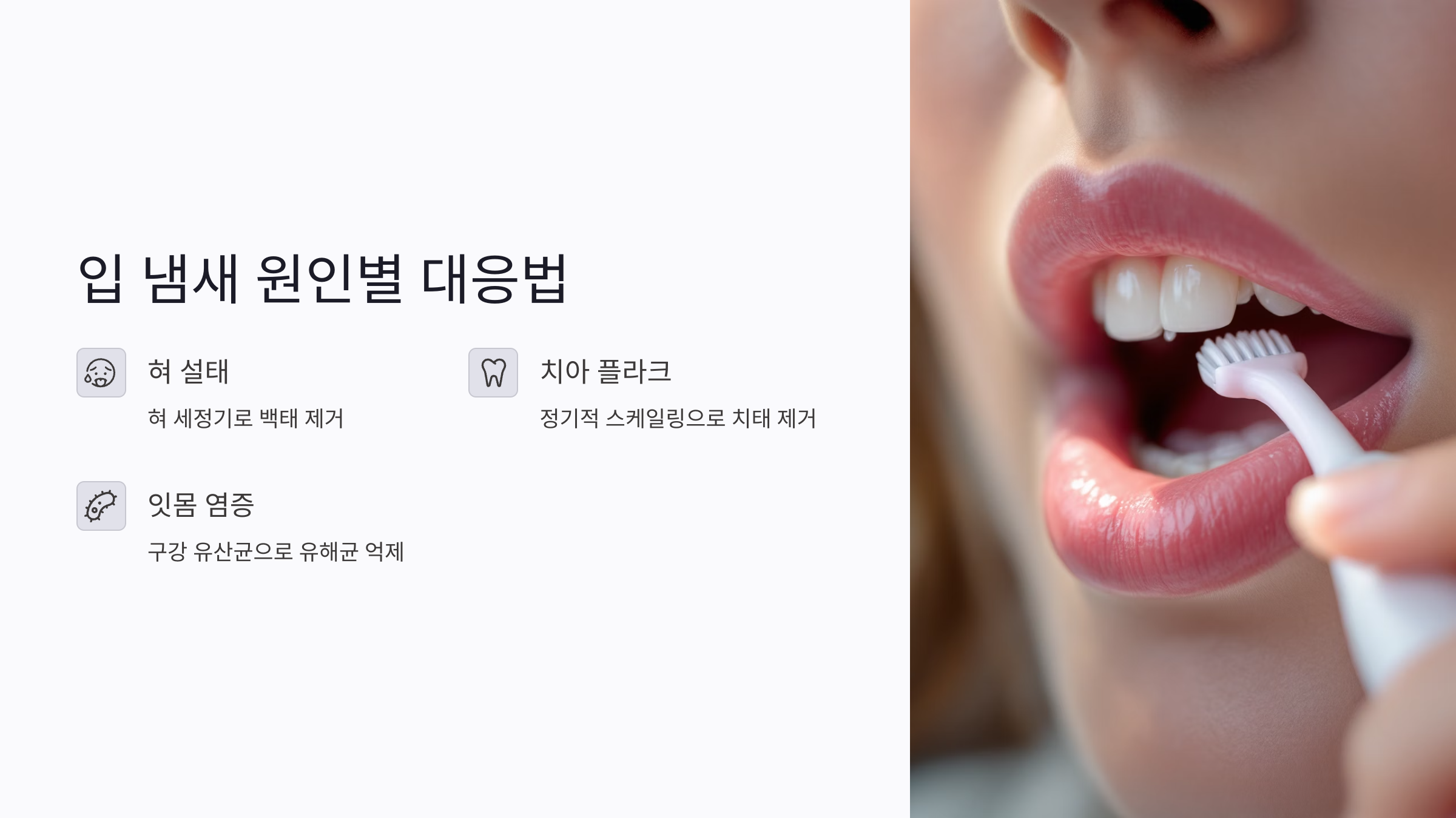 구강 유산균 복용 기간은 얼마나 걸릴까요?