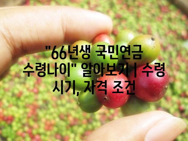 랜덤065