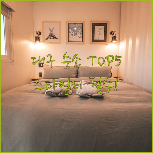 대구 서구 달서구 숙소 베스트 5 스..