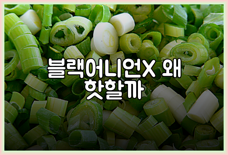 블랙어니언X 왜 핫할까