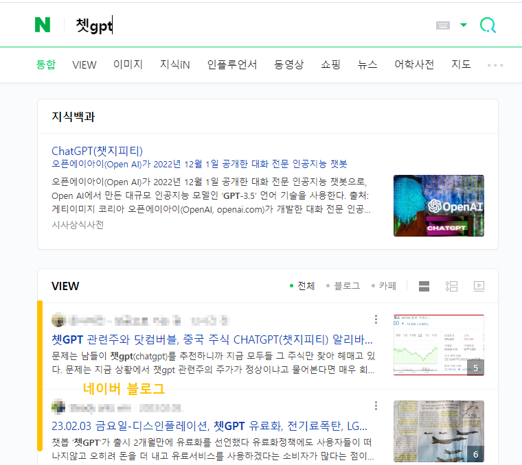 검색에서 티스토리나 네이버만 보기