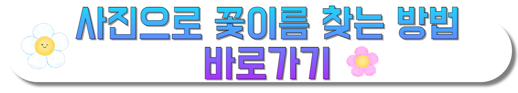 사진으로-꽃이름-찾는-방법-바로가기