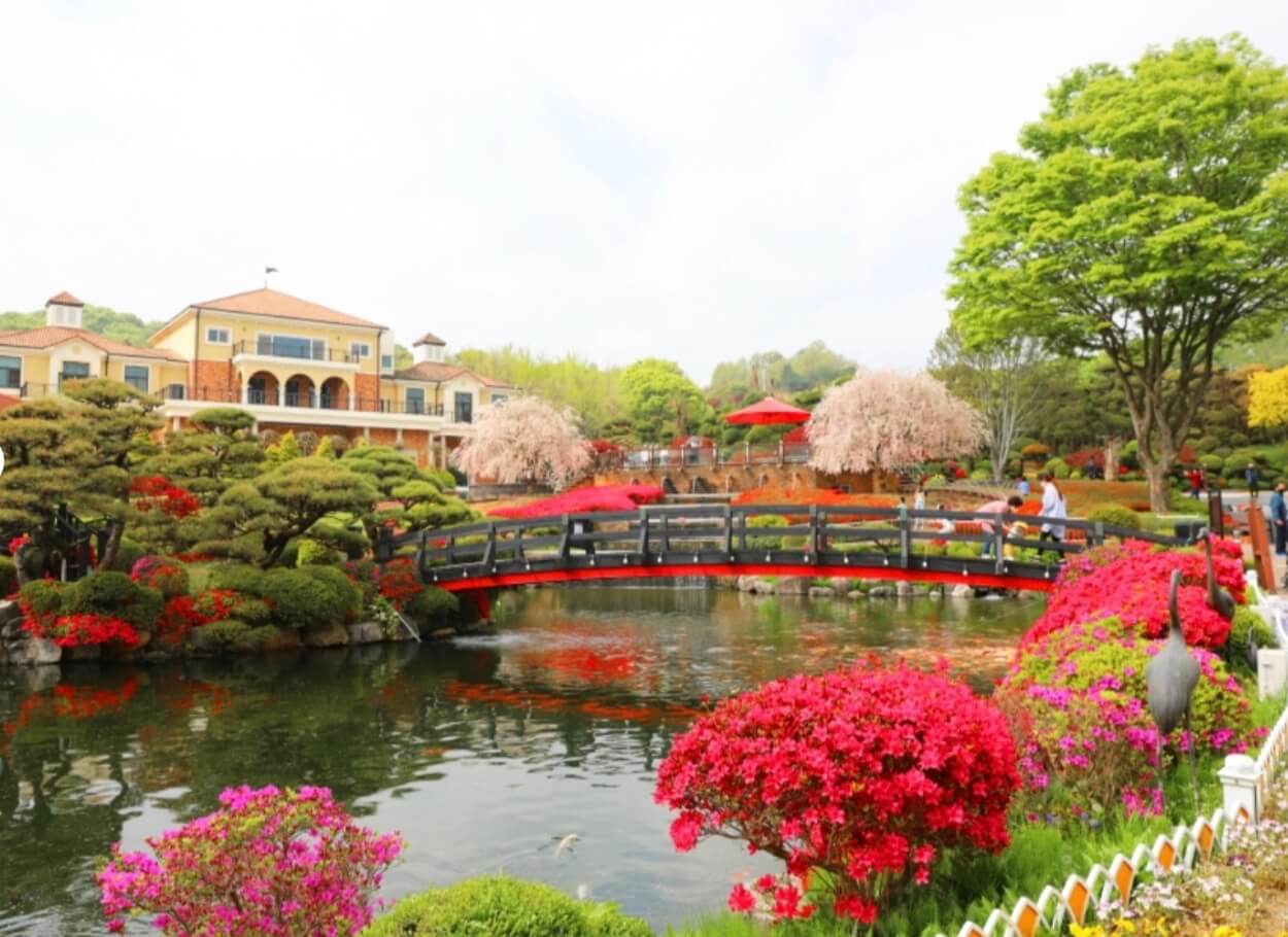 세종-베어트리-파크-철쭉제-사진-2