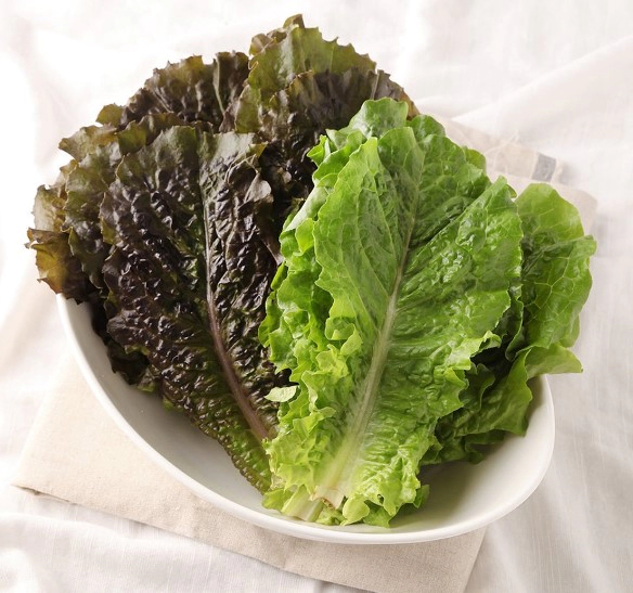 상추 효능 7가지