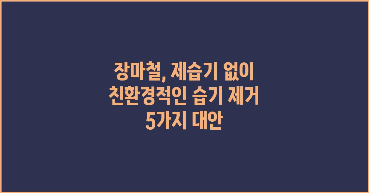 친환경적인 장마철 습기 제거 5가지 대안