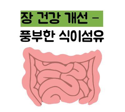 아보카도 효능