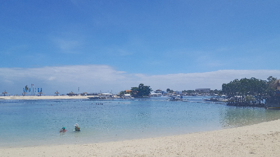 필리핀 세부 해부