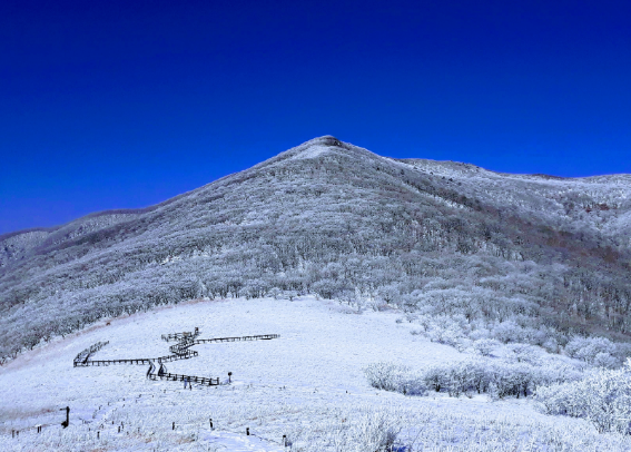 곰배령 여행 예약하기 등산코스 알아보기