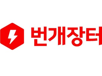번개장터 로고