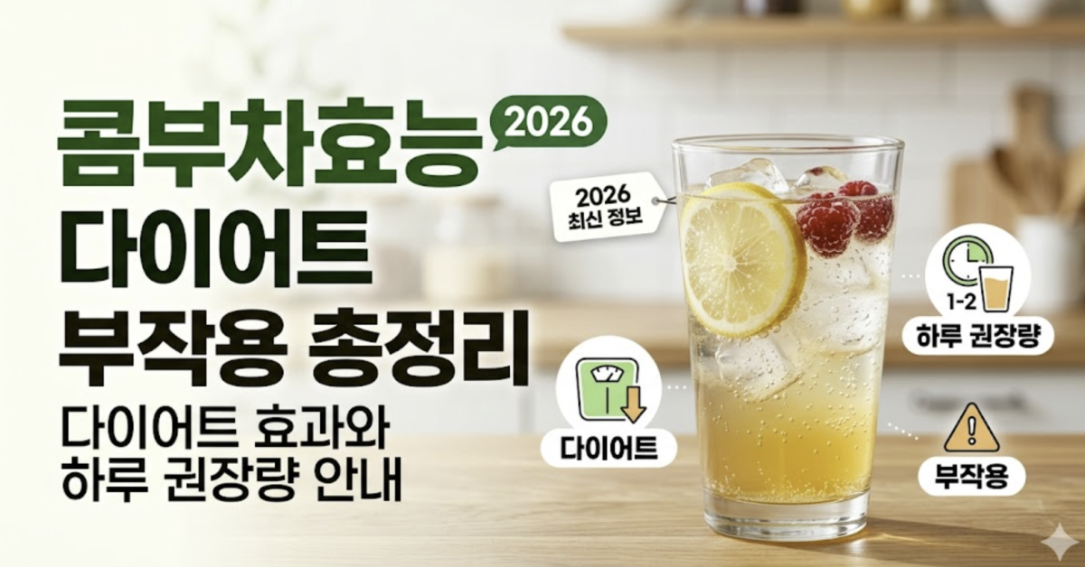 콤부차효능 부작용 2026 총정리 다이어트 효과와 하루 권장량 안내