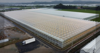 우듬지팜 기어 이미지