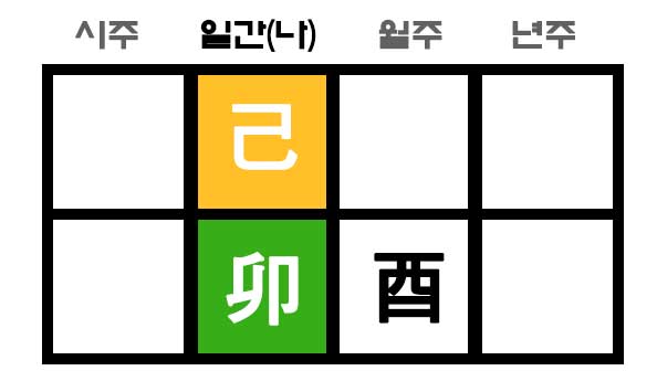 묘유충 사주